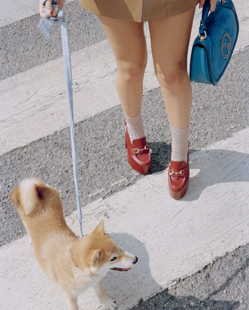 HOMMEGIRLS VOLUME 12 image-1