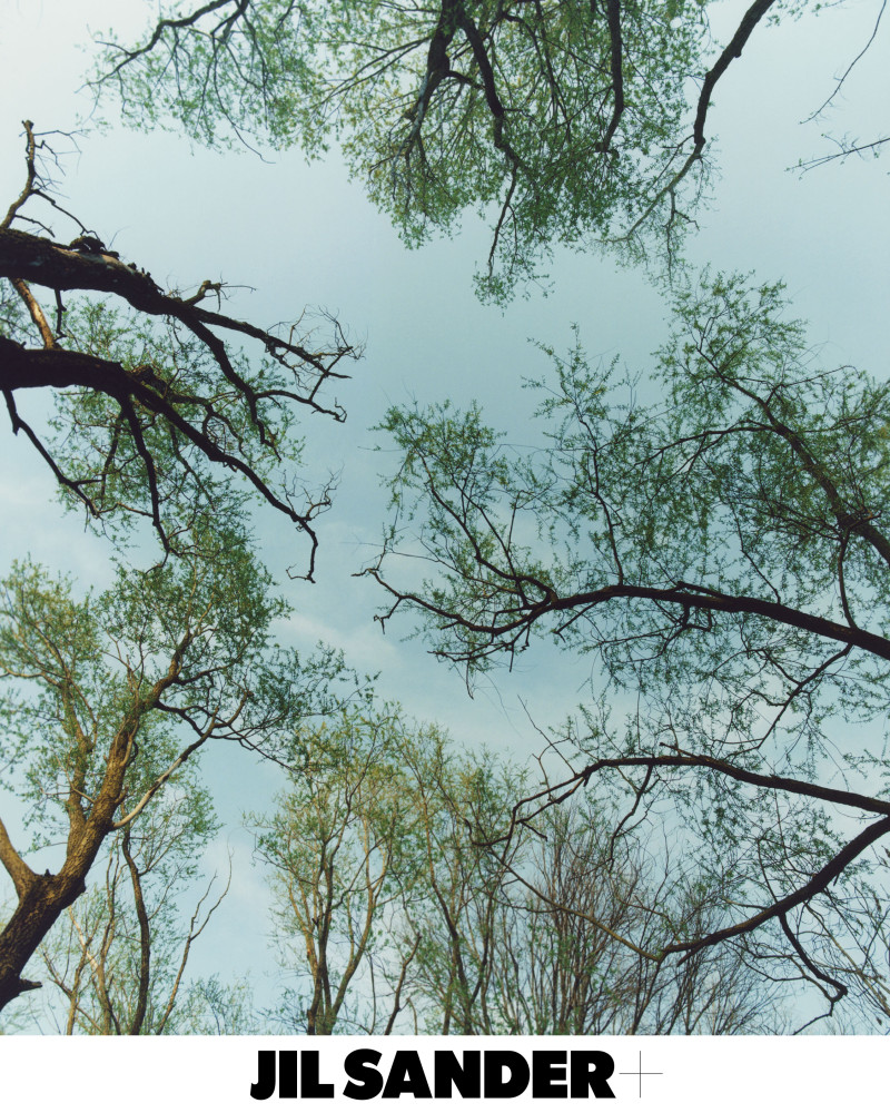 Jil Sander image-3