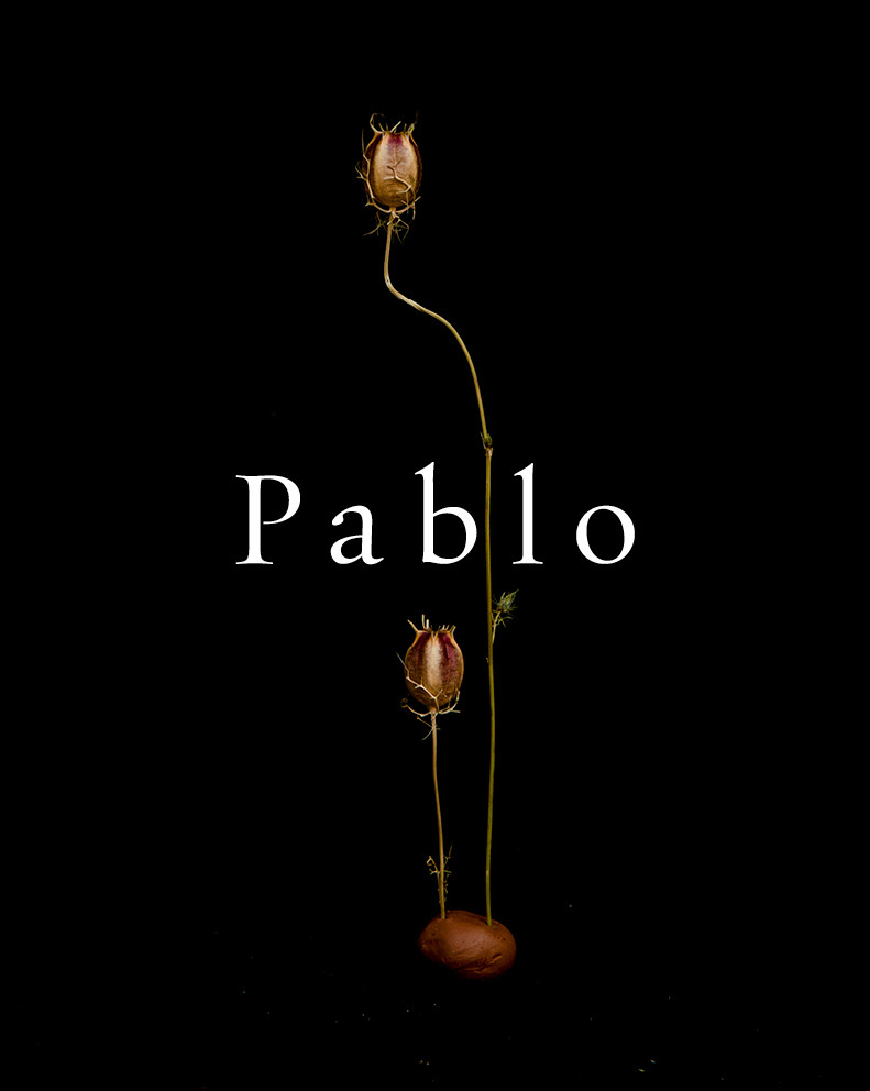 Pablo FW19 image-4
