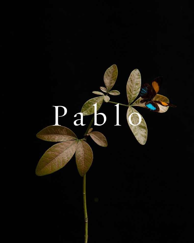 Pablo FW19 image-8