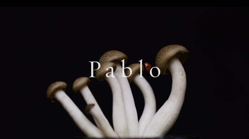 Pablo FW19 image-2