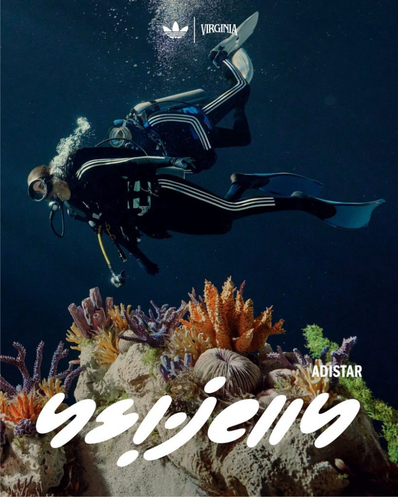 Pharrell x Adidas Adistar Jellyfish