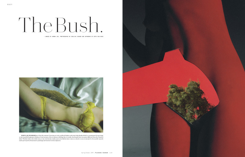Pleasure Garden Issue 5 image-0