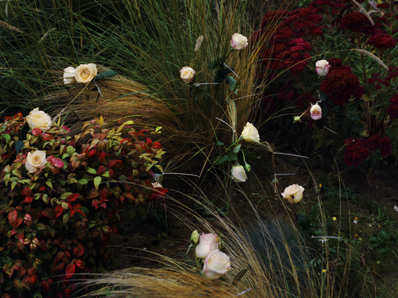 Pleasure Garden Issue 3 image-2