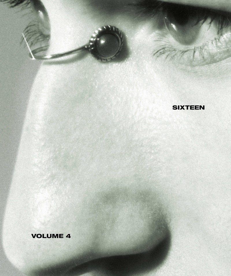 Sixteen, Volume 4 image-0