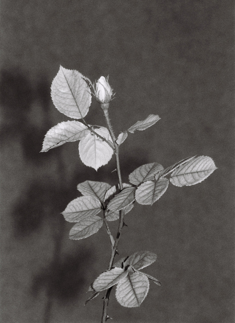 T China, Oct 21 image-7