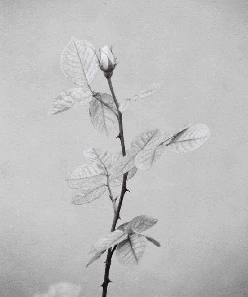 T China, Oct 21 image-23