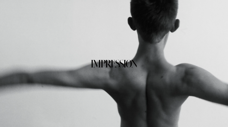 The Impression image-1