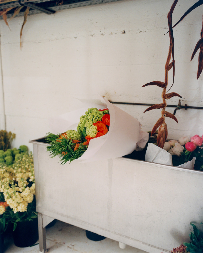 ZARA X CASTOR image-9